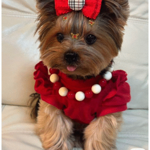 Outfit “Glamour Rojo” para Perros – Estilo Festivo con Detalles Exclusivos
