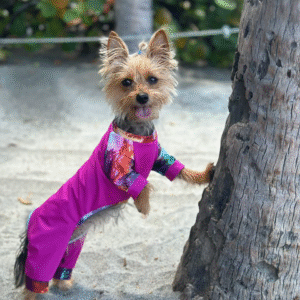 Buzo de Playa para Perros – Color, Comodidad y Estilo Bajo el Sol