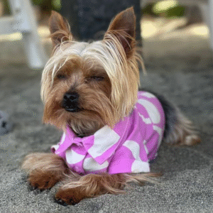 Buzo de Playa para Perros – Estilo Tropical para Aventuras al So